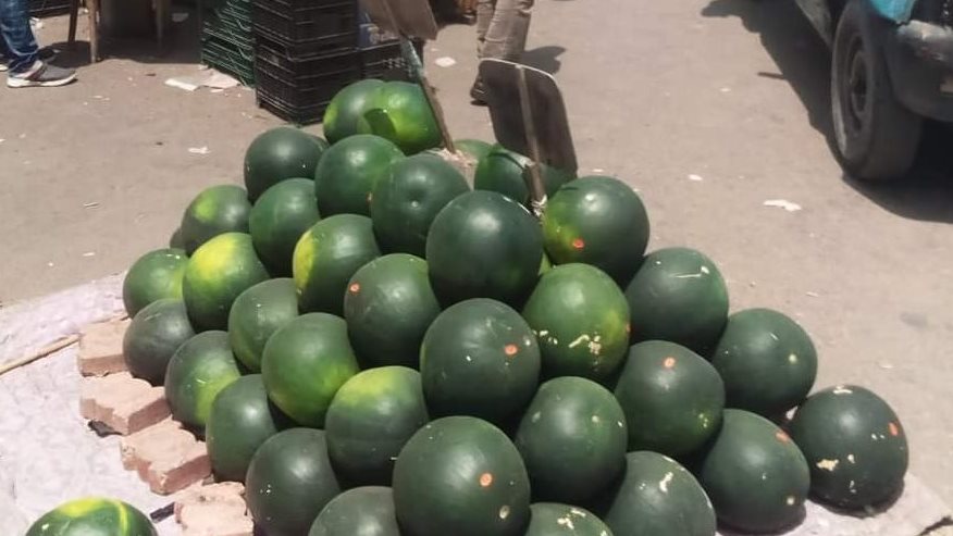 أسباب ارتفاع أسعار البطيخ