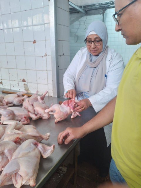 الحملة 01