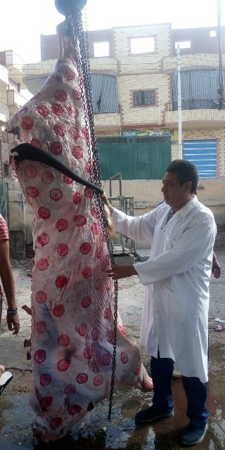 الحملات 02