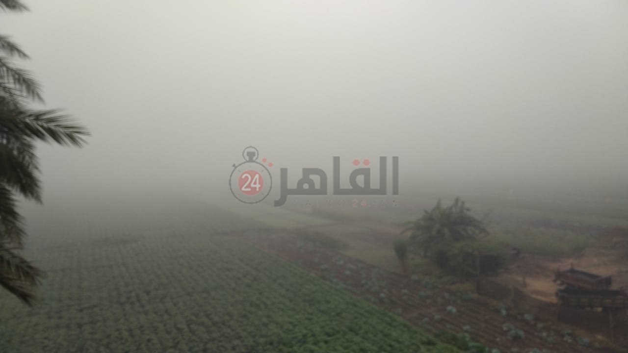 IMG-20231024-WA0000