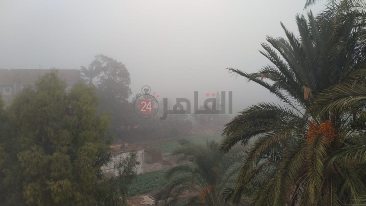 IMG-20231024-WA0001