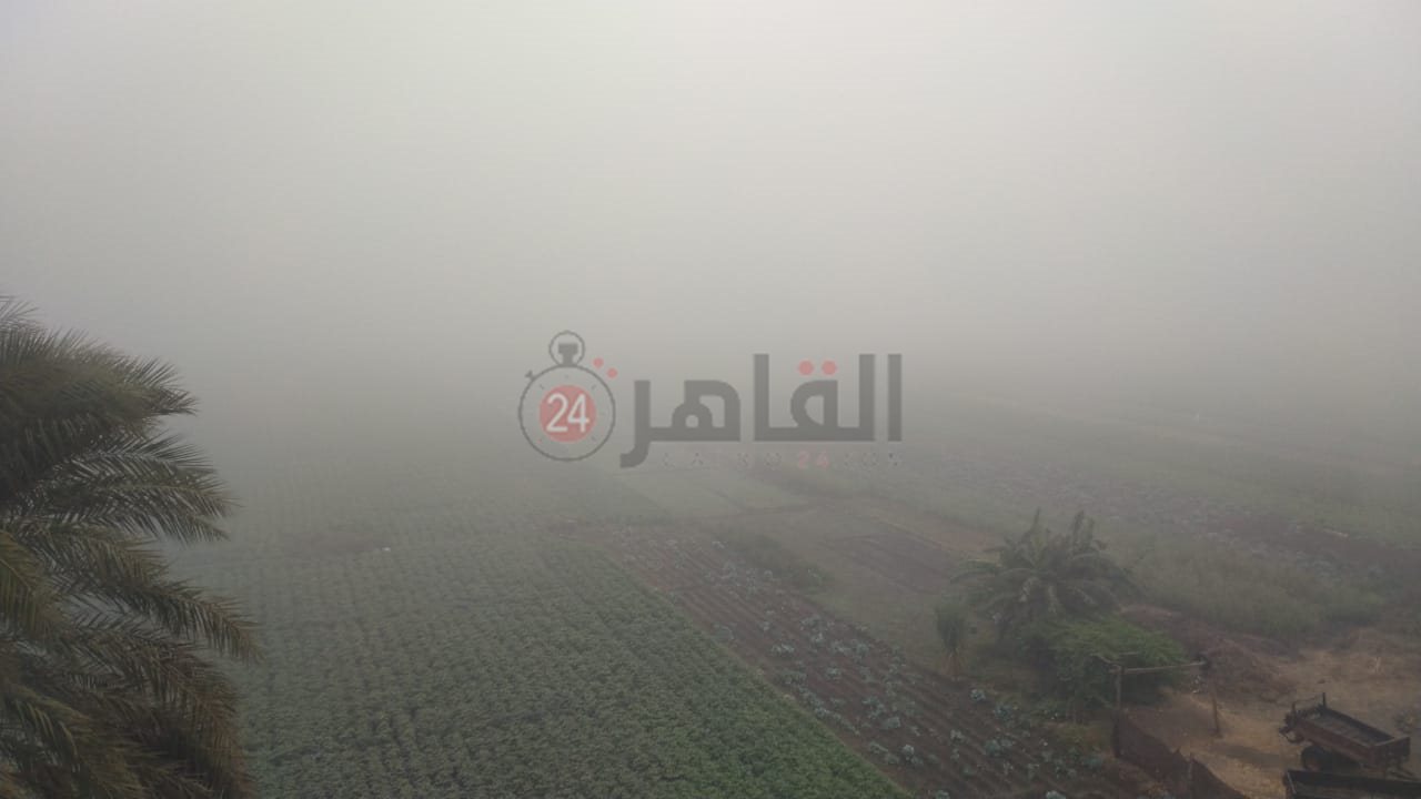 IMG-20231024-WA0003