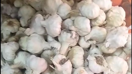 سعر الثوم اليوم في سوق العبور