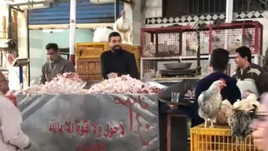أسعار الفراخ البيضاء اليوم