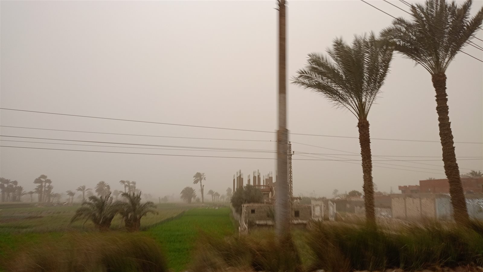 IMG-20240318-WA0196