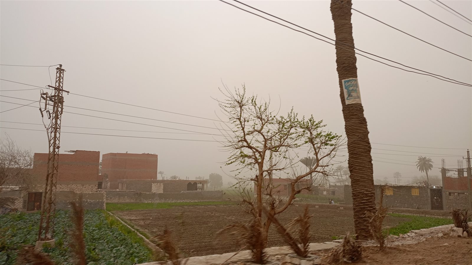 IMG-20240318-WA0190