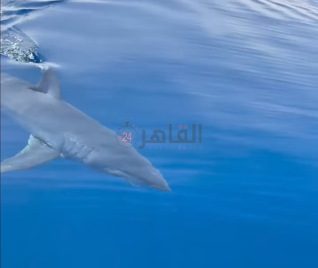 IMG_٢٠٢٤٠٣٣٠_٢٢٣٨٤٣