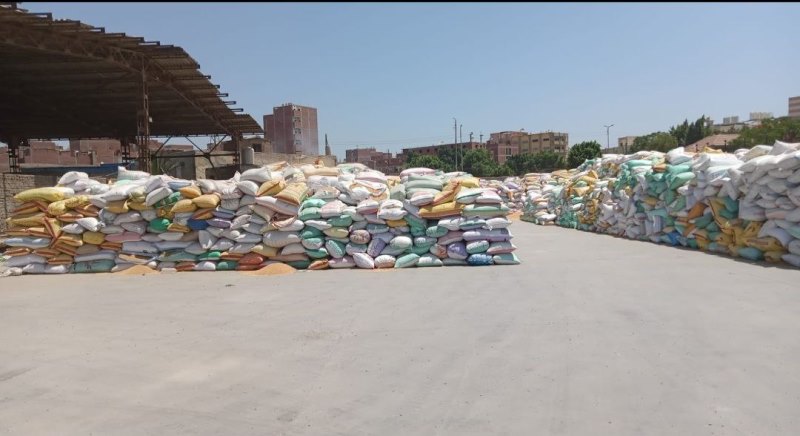 توريد القمح في الشرقية 01