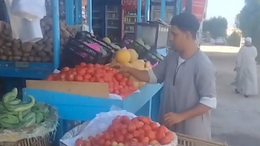 أسعار الخضار اليوم في سوق العبور