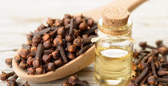 فوائد زيت القرنفل