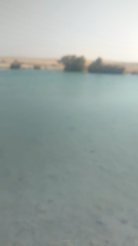 IMG-20241111-WA0091