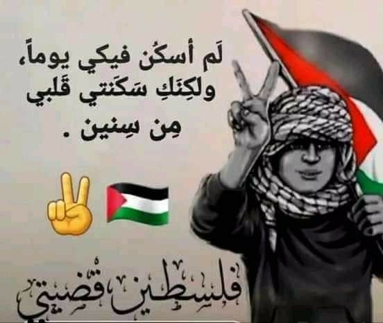 أقوال عن فلسطين&nbsp;