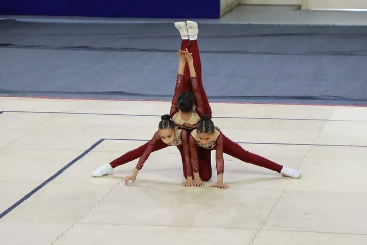 IMG-20241129-WA0133