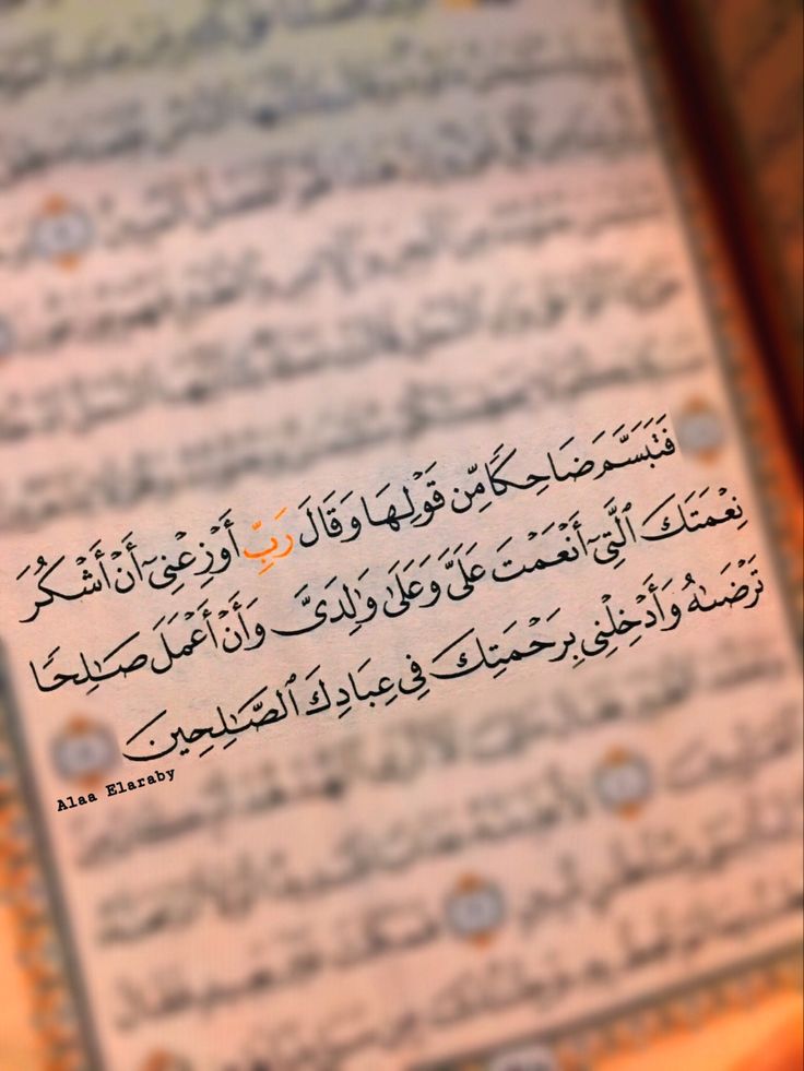 دعاء سيدنا سليمان