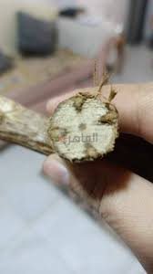 images (5) (25)