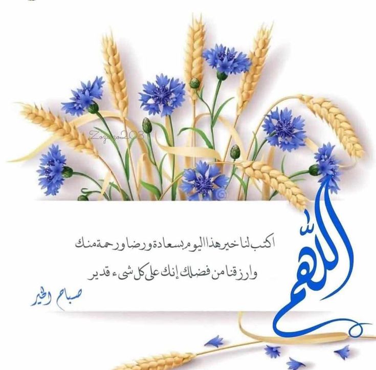 صور صباح الخير مع دعاء 9