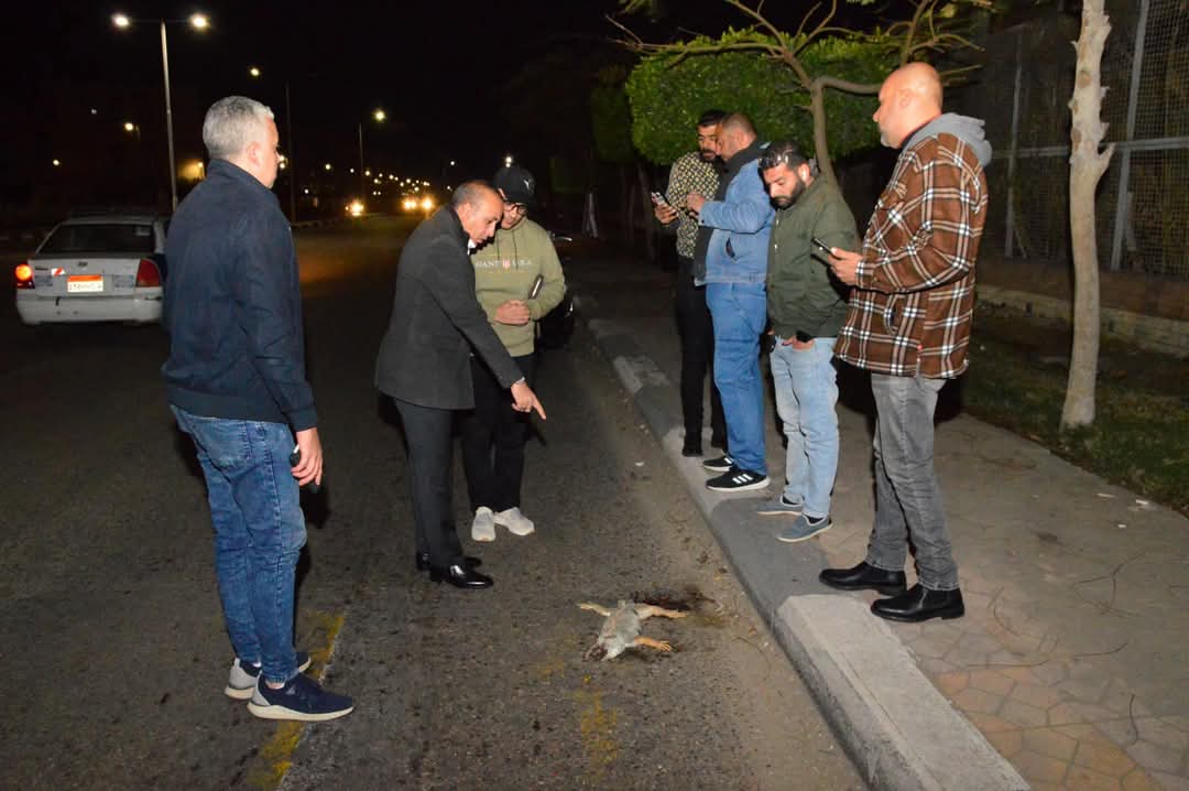 جهود مجلس مدينة بورفؤاد 