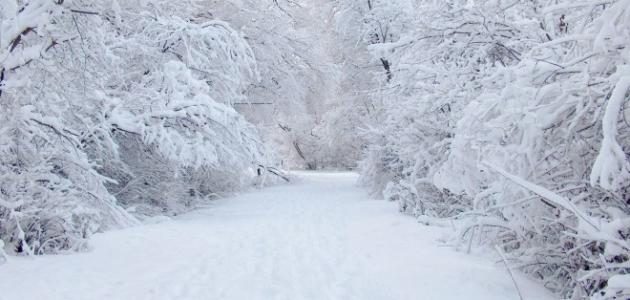 تفسير حلم الثلج