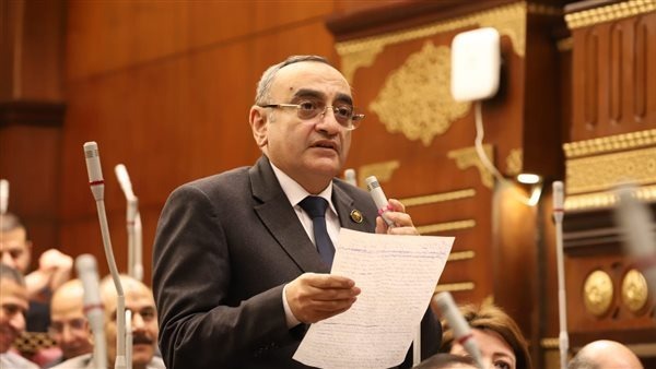 النائب حاتم حشمت&nbsp;