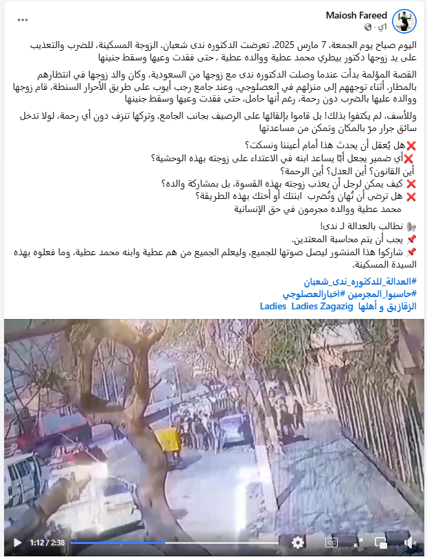 المنشور&nbsp;