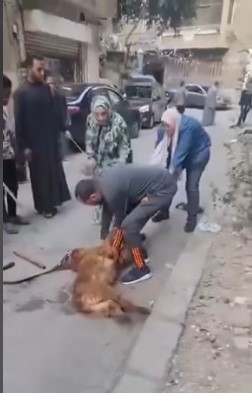 جانب من الفيديو