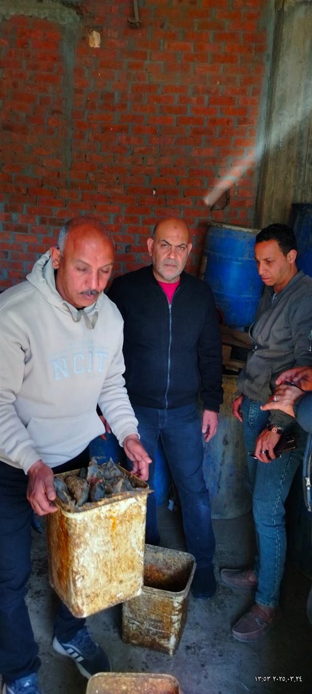 ضبط 2.5 طن أسماك سردين غير صالح للاستهلاك الآدمي بالمنوفية