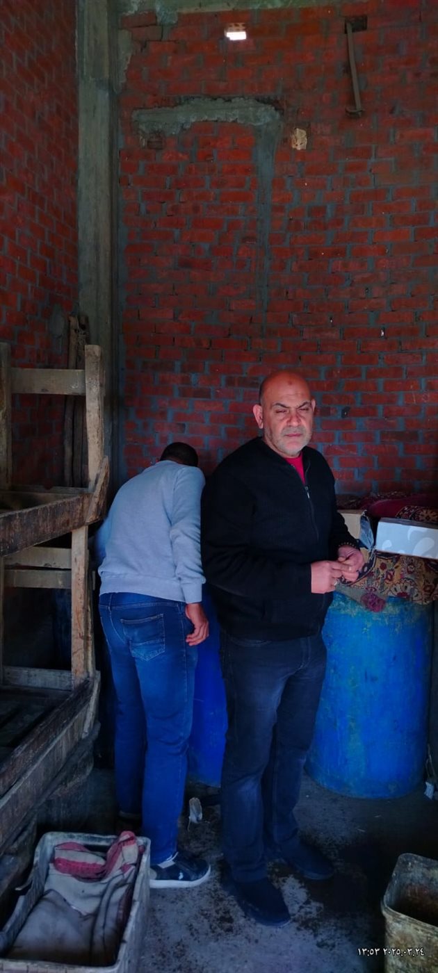 ضبط 2.5 طن أسماك سردين غير صالح للاستهلاك الآدمي بالمنوفية