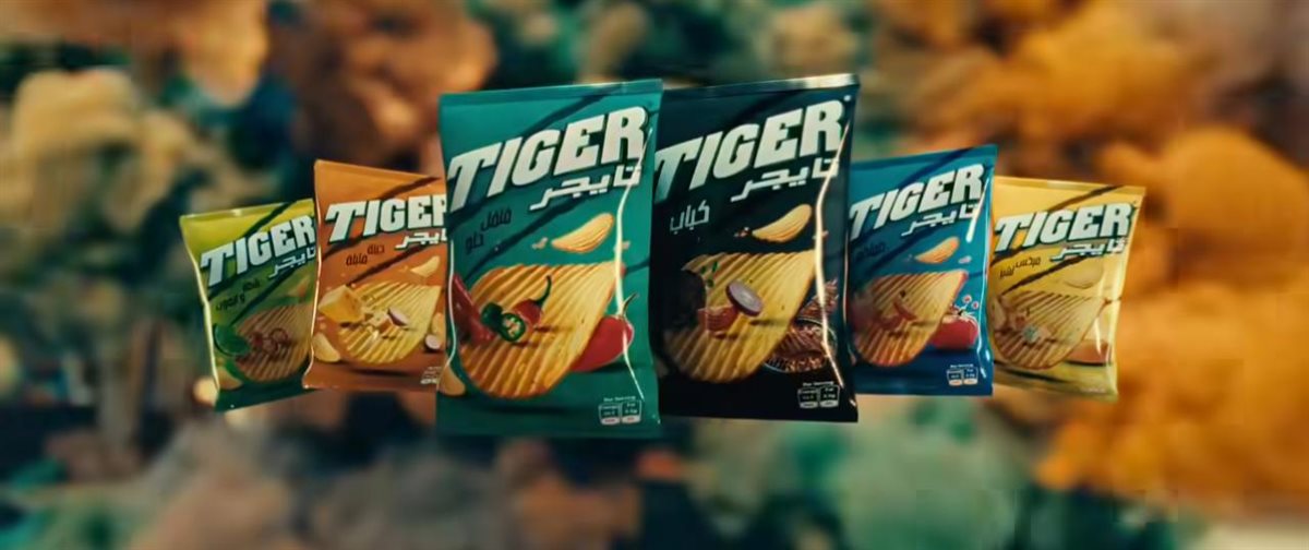 شكل تايجر الجديد