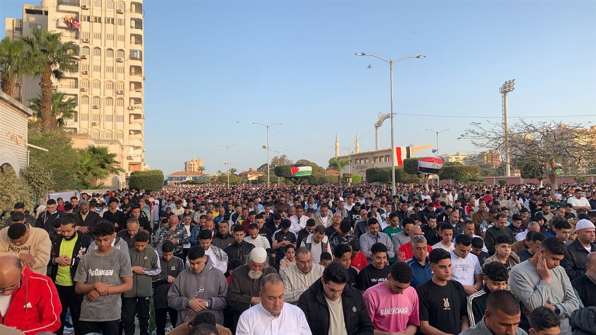 تظاهرات محافظة بورسعيد 
