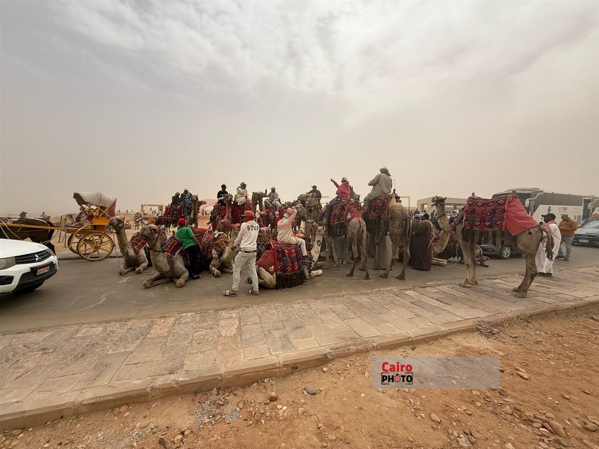 الأهرامات