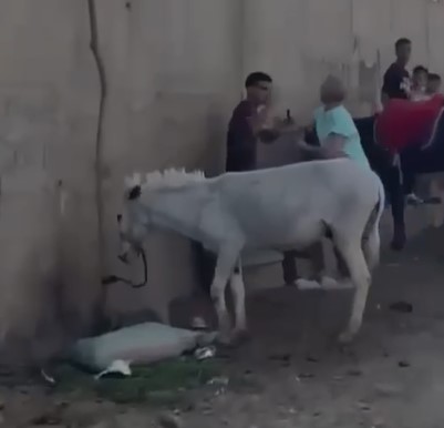 جانب من الواقعة