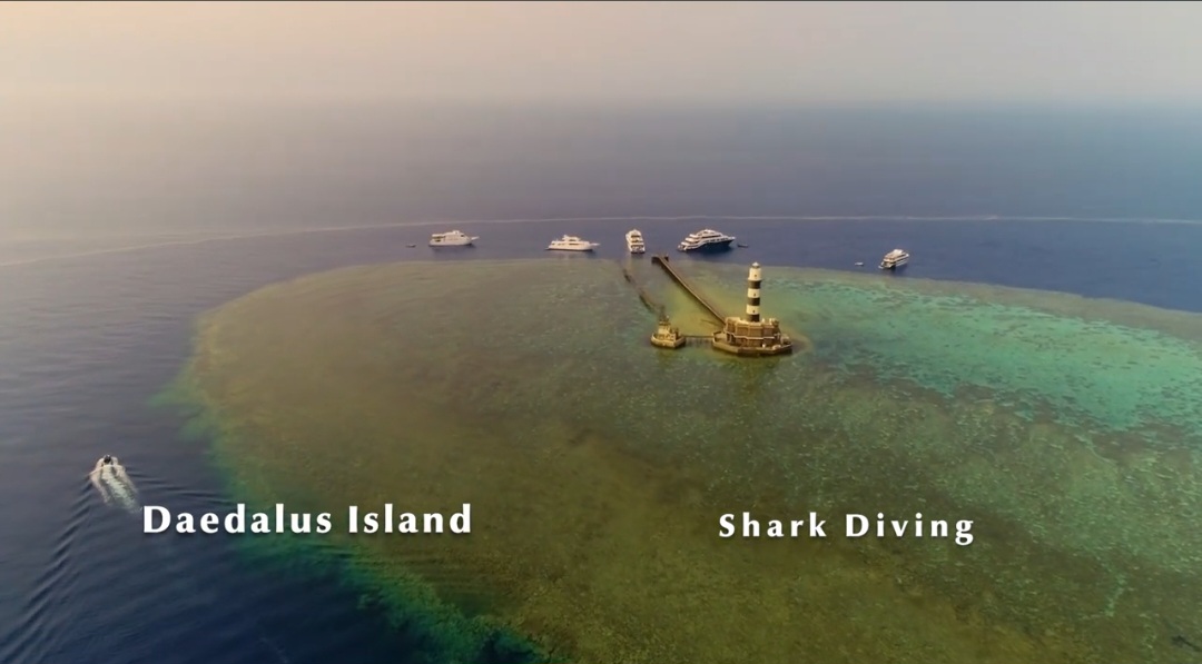 محميات البحر الأحمر