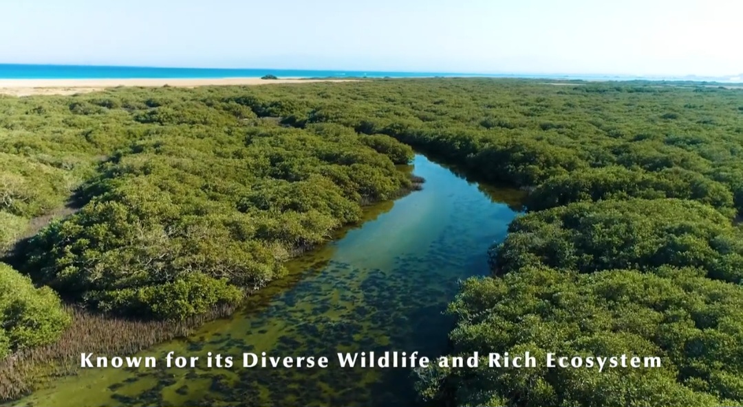 محميات البحر الأحمر