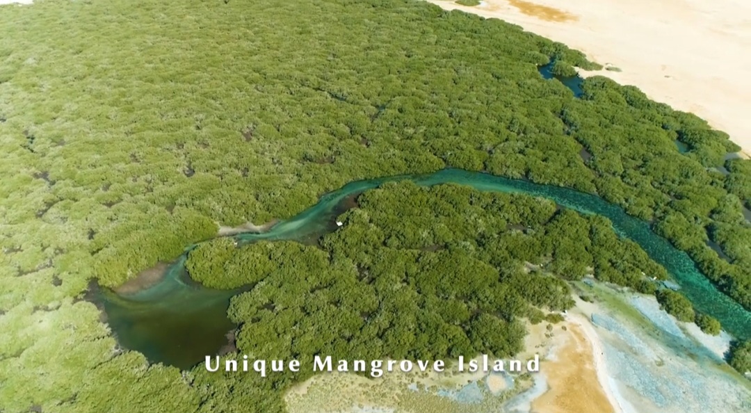 محميات البحر الأحمر