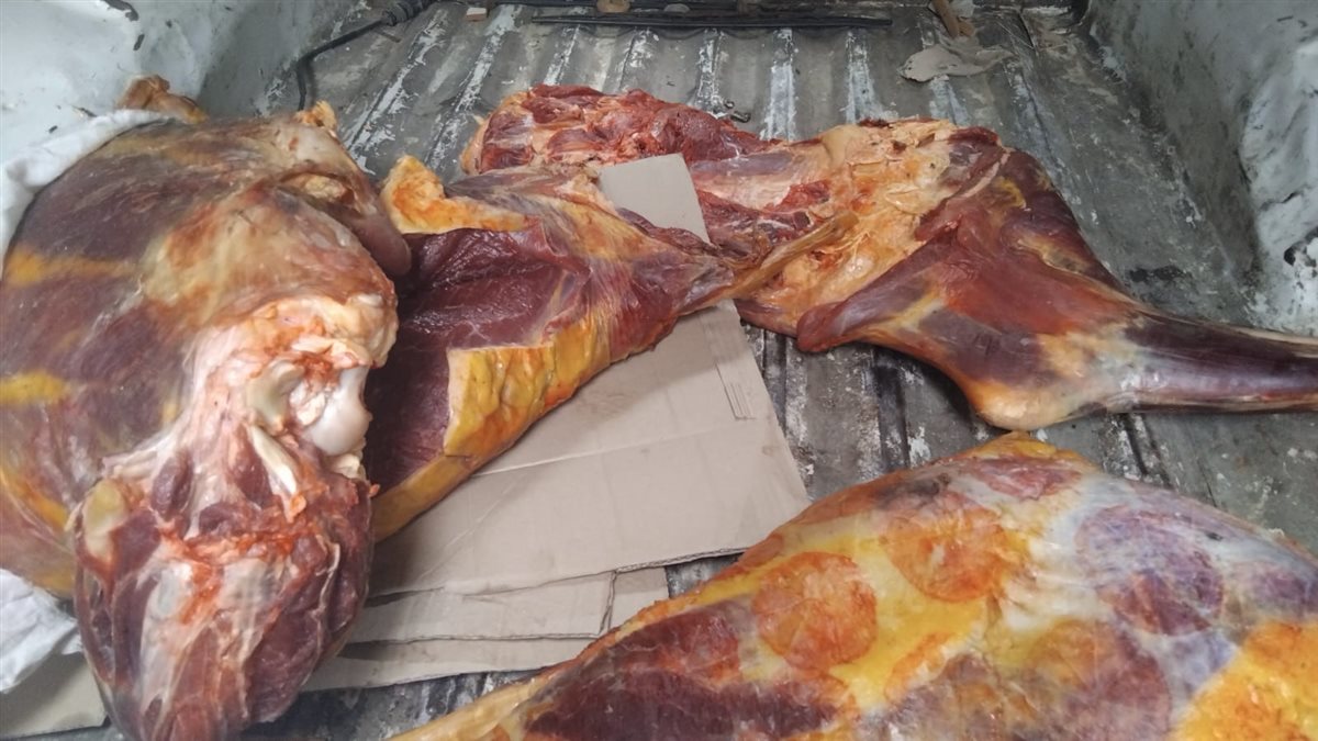 جانب من المضبوطات في الحملة&nbsp;