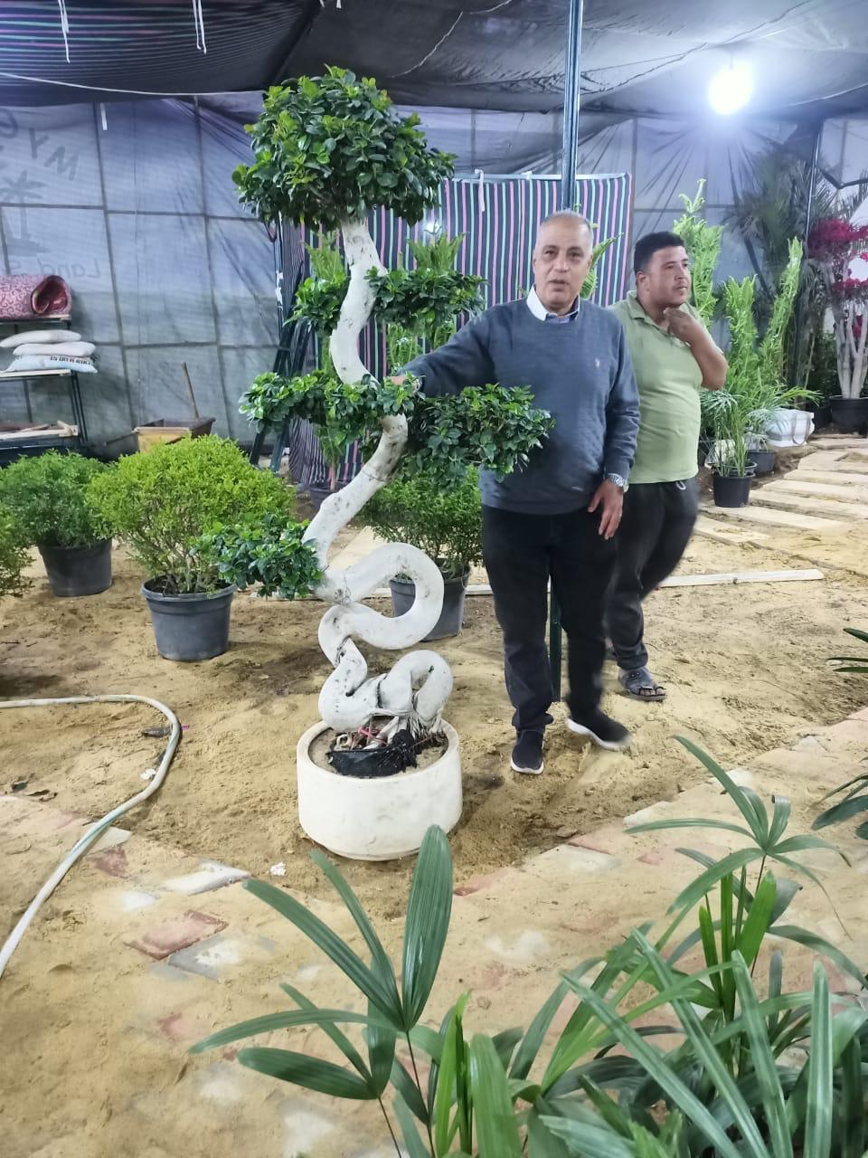 الاستعدادات النهائية لانطلاق معرض زهور الربيع