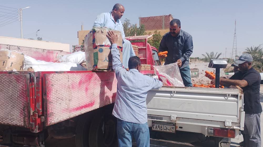 منافذ بيع السلع في الوادى الجديد&nbsp;