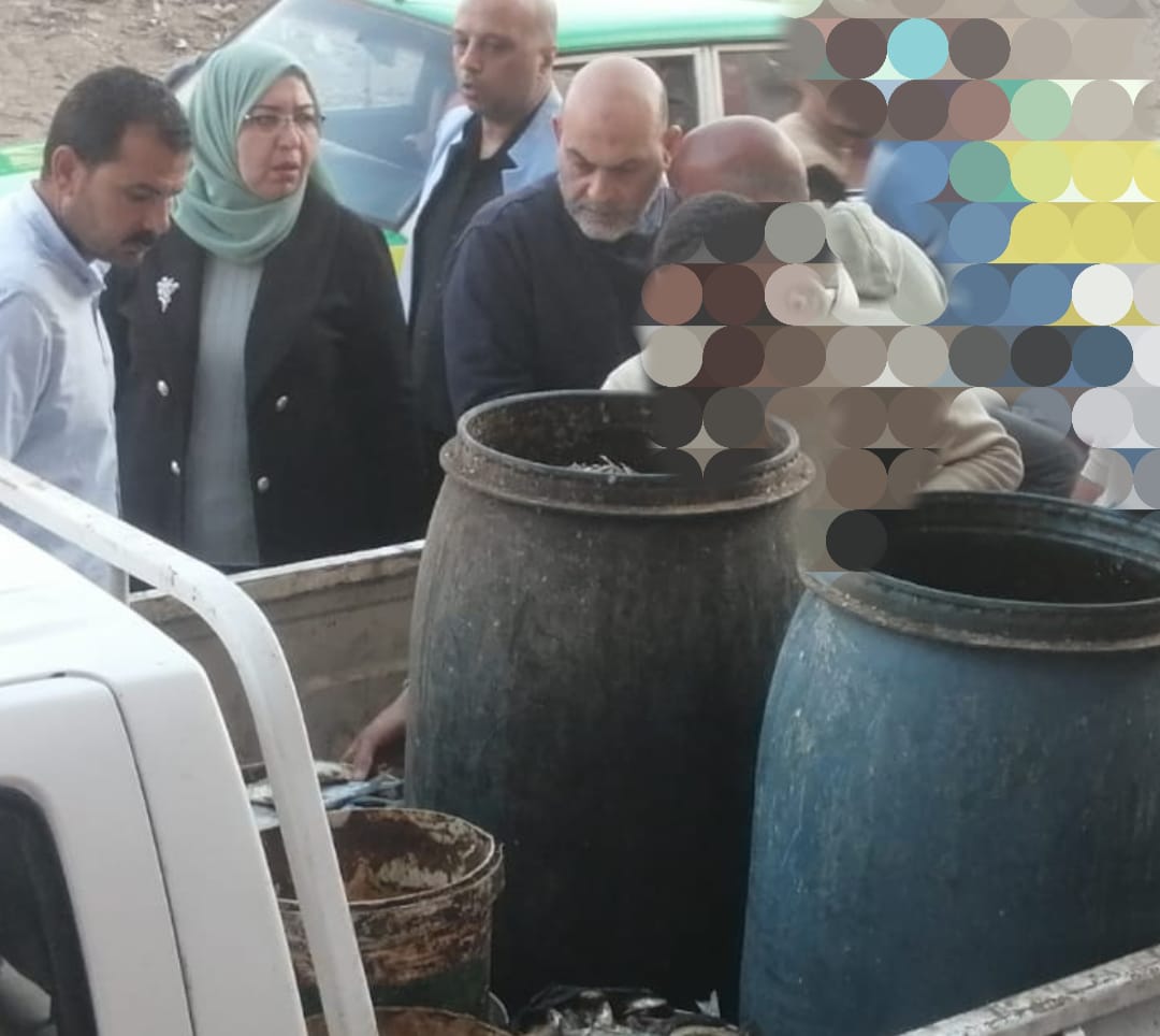 ضبط سردين مملح غير صالح للاستهلاك بالمنوفية