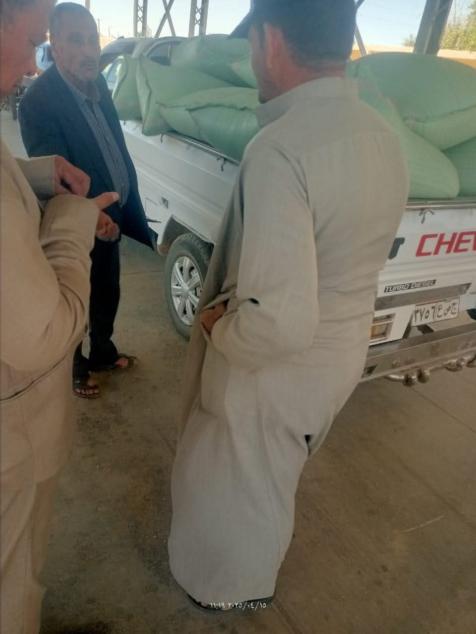 توريد محصول القمح في الوادى الجديد