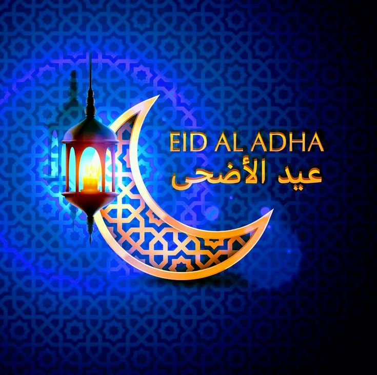 بطاقات تهنئة عيد الأضحى 2025