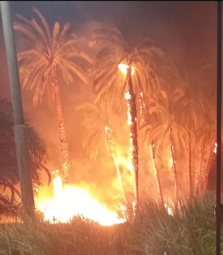 حريق هائل بكرم نخيل بإسنا جنوب الأقصر