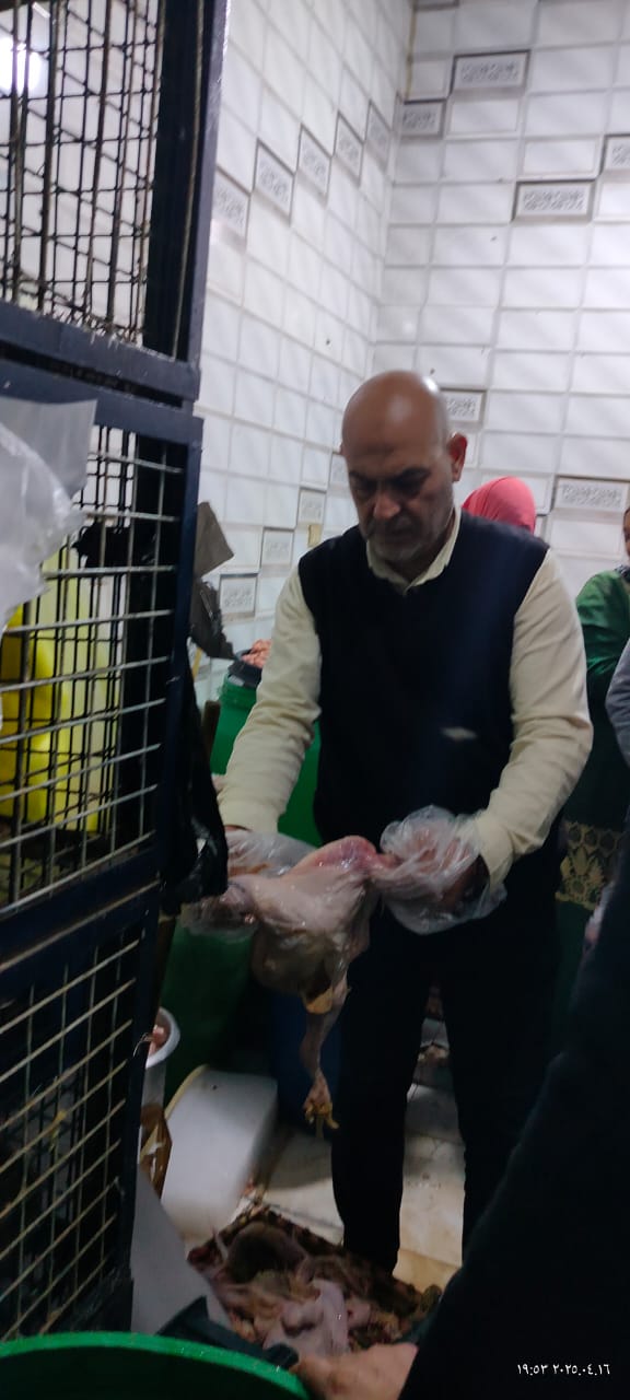 ضبط كميات كبيرة من الدواجن الغير صالحة للاستهلاك الآدمي بالمنوفية