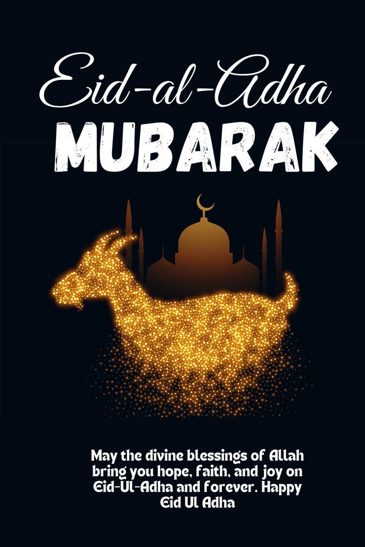 أفضل صور تهنئة عيد الأضحى 2025