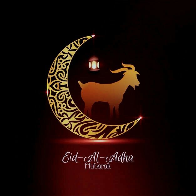 بطاقات تهنئة عيد الأضحى المبارك 2025