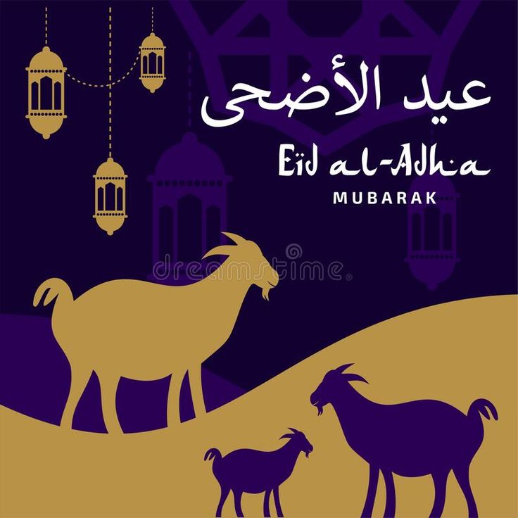 تهنئة عيد الأضحى المبارك40