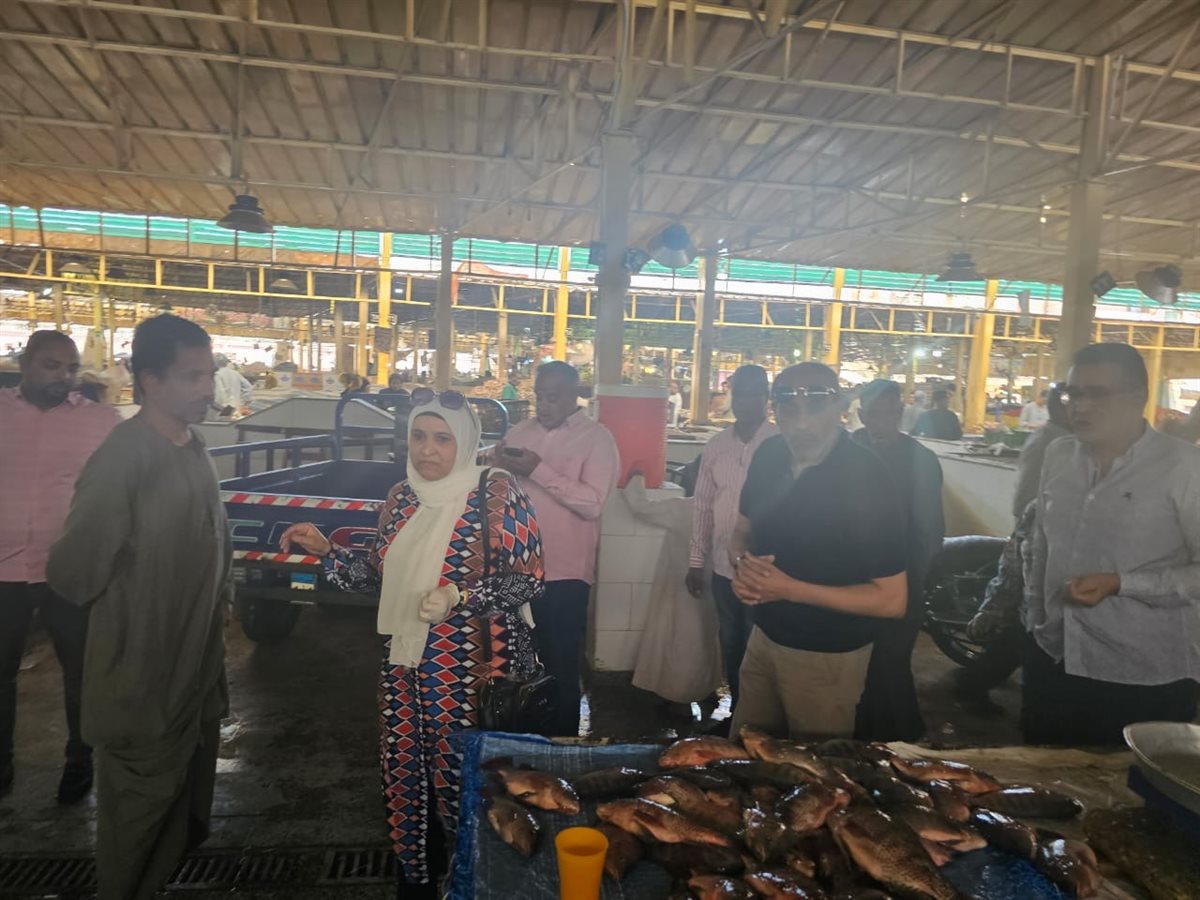 حملات مكثفة على الأسواق بالأقصر