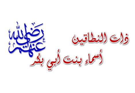 ملخص قصة أسماء ذات النطاقين