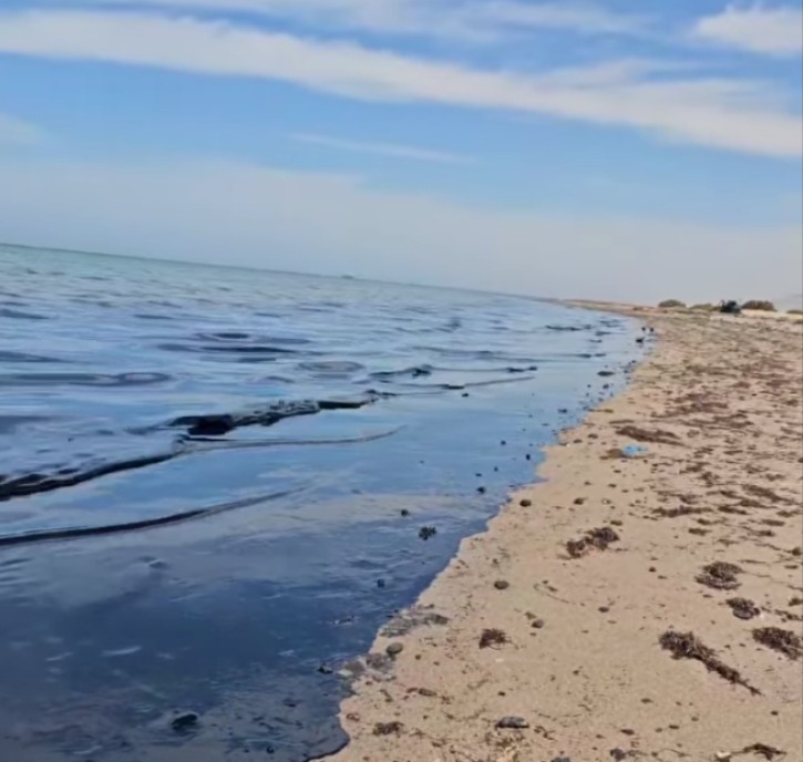 صورة من بقع الزيت&nbsp;