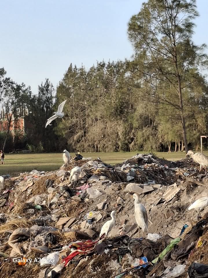 مقلب القمامة بجوار ملعب مركز الشباب&nbsp;