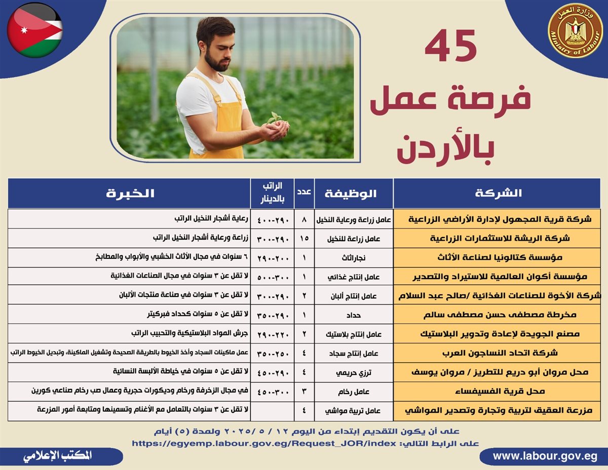 الوظائف&nbsp;